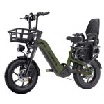 HillMiles|Elektrische Fiets Voor Volwassenen|120/250km|65Nm|7V|Fatbike 16x4