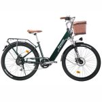 Beste e bike dames cysum cityrun Elektrische fiets voor dames, 26 inch trapondersteuning, e-bike, elektrische stadsfiets voor volwassenen, motor 250 W, 25 km/u, lithiumbatterij 36 V, 360 WH, autonomie 80 km (groen 001)