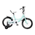 QTREIDG Kinderfiets 16 inch met steunwielen voor jongens en meisjes, kinderfiets 5-8 jaar met handrem, bel en kettingkast, in hoogte verstelbaar zadel, stuur, kinderfiets, groen
