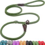 Fida Slip Rope Dog Lead | 1,8 m, One-Size-Fits-All, Slip-On Leash. Gemakkelijk aan te trekken, geen kraag of harnas. Duurzaam & weerbestendig klimmers touw met reflecterende stiksels (groen)