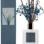 Cocorrína Set geurstokjes, 200 ml, kasjmier en vanille, geurverspreider met stokjes voor geur in huis, slaapkamer, badkamer, woonkamer, decoratie thuis of op kantoor