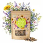 200g Bloemzadenmix voor een kleurrijke bijenweide - Bloemrijk en nectarrijk bloemenzaadmengsel voor bijen en vlinders (incl. GRATIS e-Book)