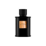 David Beckham Bold Instinct Eau de Parfum voor heren, Houtachtig en aromatisch parfum, Verfijnde geur, Opvallende ondoorzichtige zwarte flacon 75ml (2.5oz)